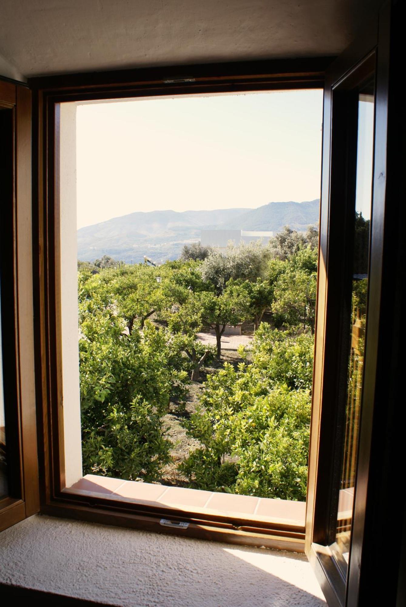 La Canota 2-Floors King Rooms Adults Only Talara Cameră foto